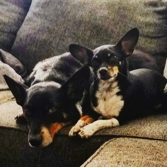 Meet your Posher, Katie - Picture 2 of 6